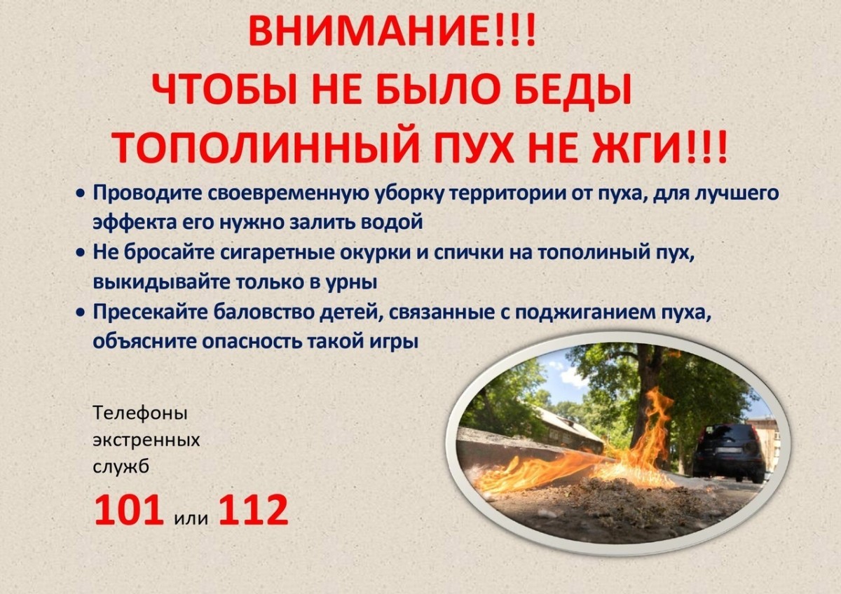 Внимание- тополиный пух!.