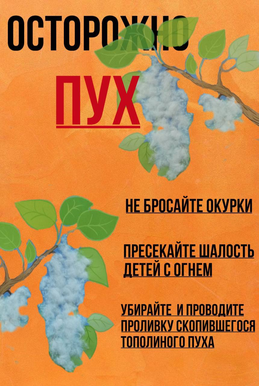 Не поджигайте тополиный пух.