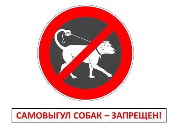 Запрещён самовыгул собак.