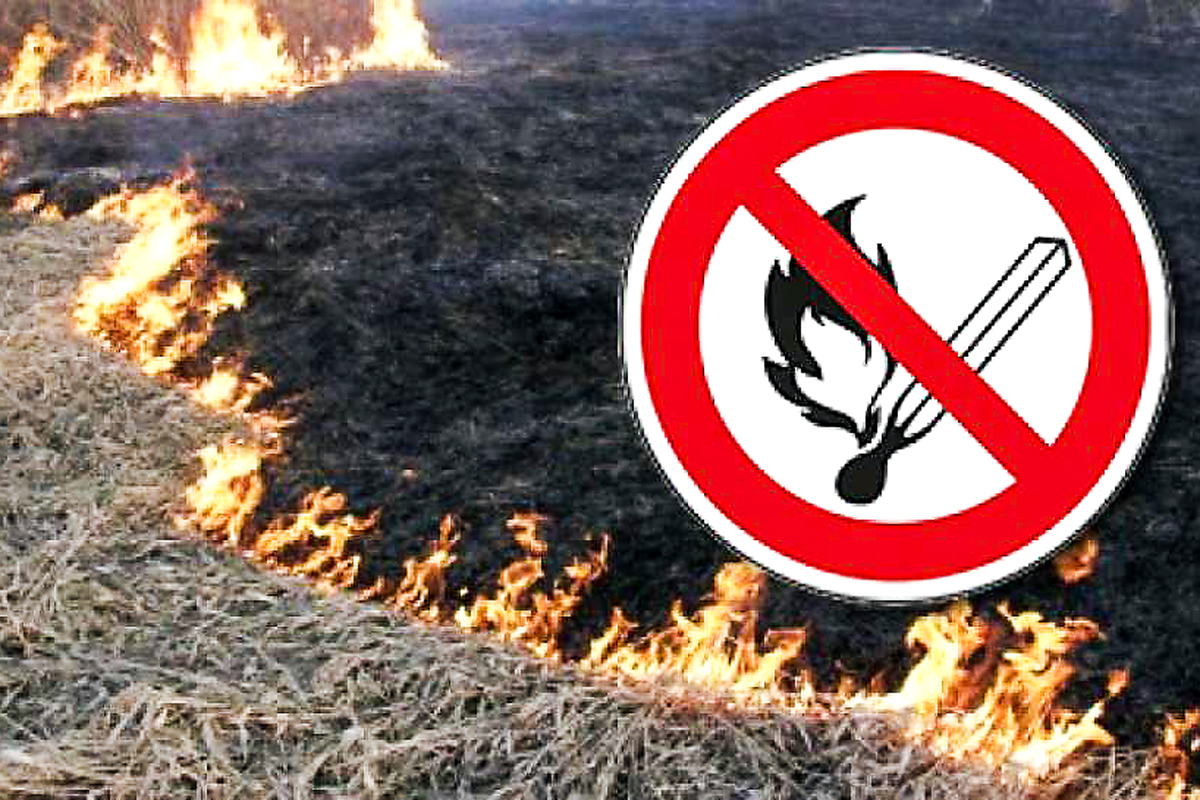 О запрете выжигания сухой травянистой растительности, стерни в весенне-летний пожароопасный период.