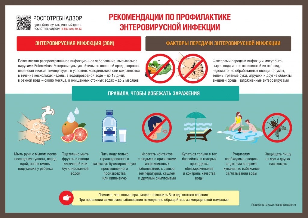 Правила профилактики энтеровирусной инфекции.