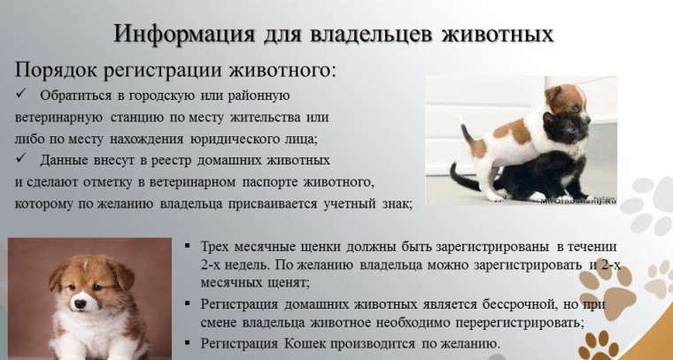 Памятка по регистрации собак. Памятка по регистрации собак.