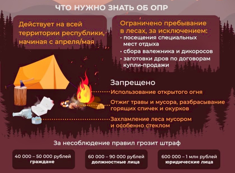 В лесах Бурятии введен особый противопожарный режим Республика Бурятия. В лесах Бурятии введен особый противопожарный режим Республика Бурятия.