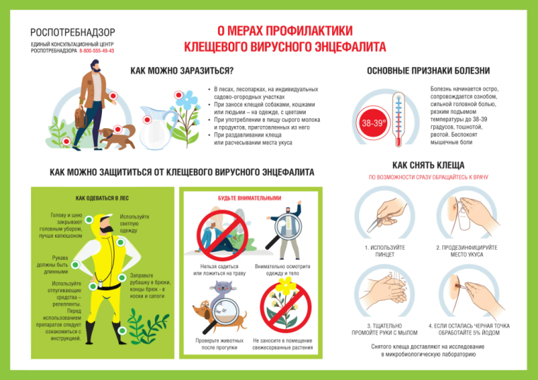 Рекомендации по профилактике клещевых инфекций. Рекомендации по профилактике клещевых инфекций.